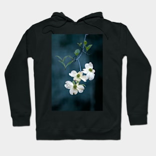 Hanging Dogwood Hoodie